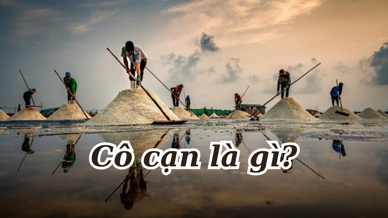  GIẢI ĐÁP: Cô cạn là gì? Quy trình cô cạn dung dịch